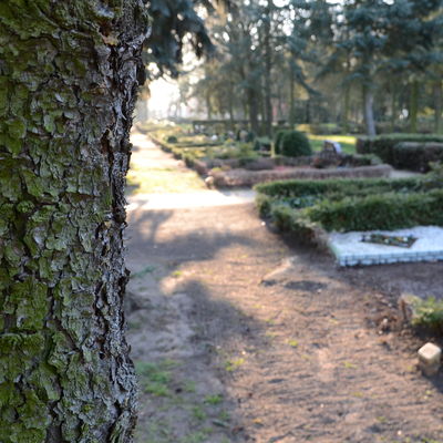 Bild vergrößern: Friedhof Gardelegen