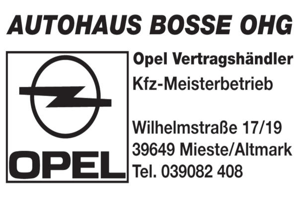 Bild vergrößern: Autohaus Bosse