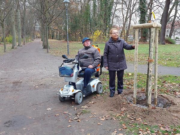 Bild vergrößern: Mein Baum fr Gardelegen