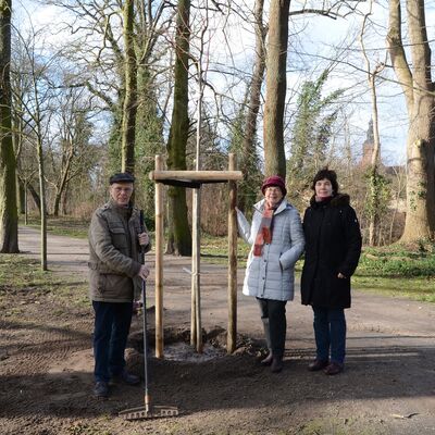 Bild vergrößern: Baumspende