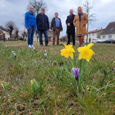 Bild vergrößern: Blhstreifen in Wannefeld