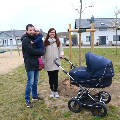 Bild vergrößern: Baumspende frs Wohngebiet