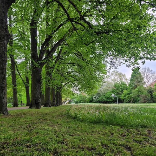 Bild vergrößern: Gartentrume Wallanlagen