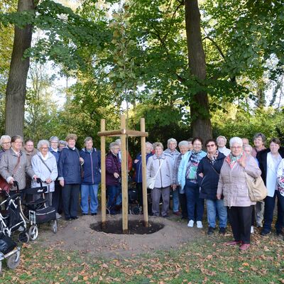 Bild vergrößern: Baumspende der Volkssolidarittsortsgruppe Schlsselkorb