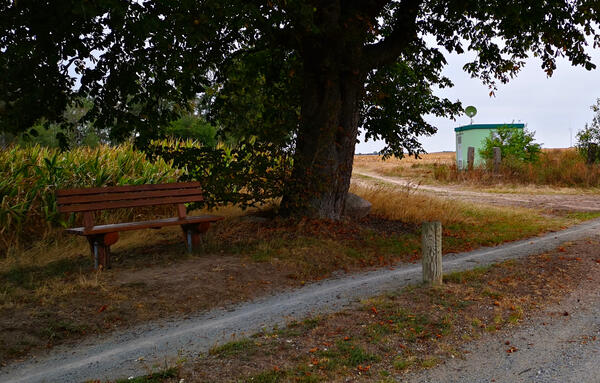 Bild vergr&ouml;&szlig;ern: Sitzbank zwischen Kloster N. & Tr&uuml;stedt