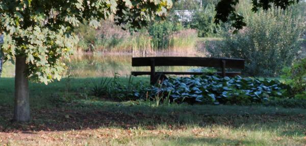 Bild vergr&ouml;&szlig;ern: Sitzbank Dannefeld am Teich
