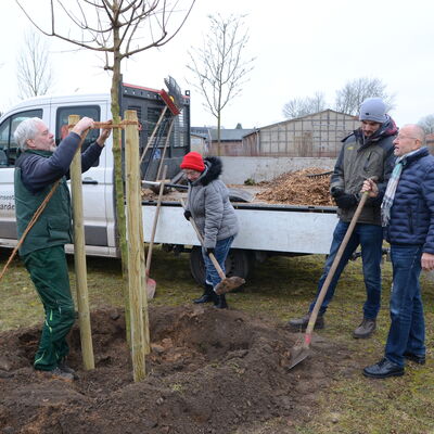Bild vergrößern: Baum der BrgerparkMacher