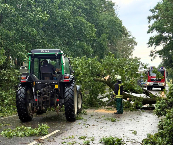 Bild vergrößern: Aufrumarbeiten nach dem Unwetter
