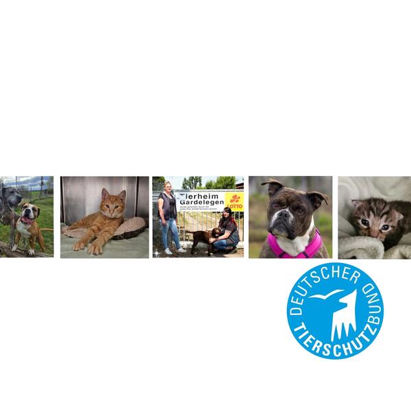 Bild vergr&ouml;&szlig;ern: Logo Tierschutzverein Tierheim Gardelegen e.V