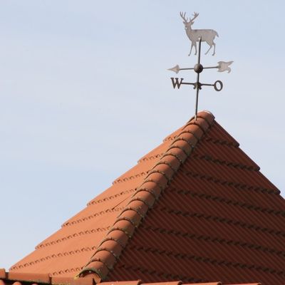 Bild vergrößern: Wannefeld
