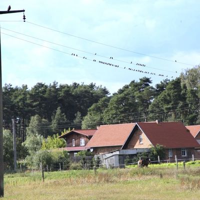 Bild vergrößern: Wannefeld