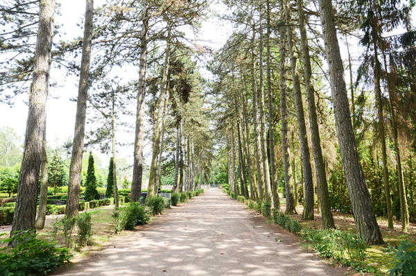 Bild vergrößern: Friedhof